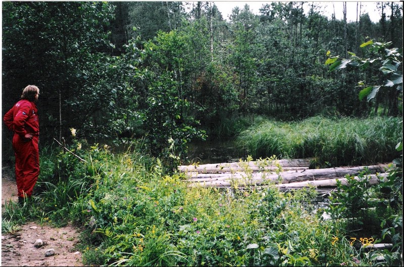 Image60.jpg