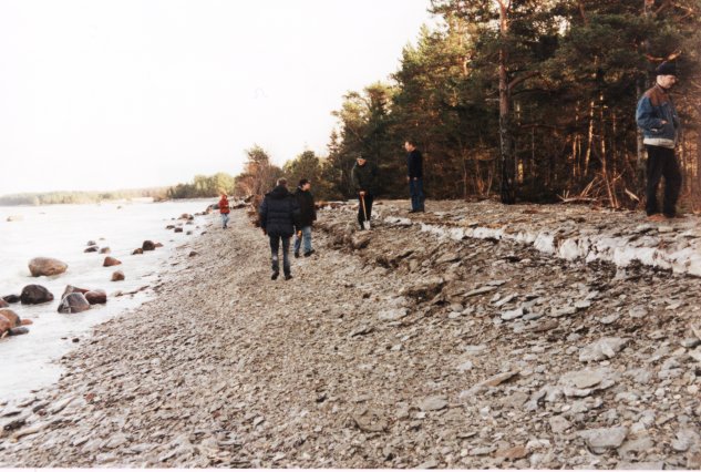 talv02-33.jpg