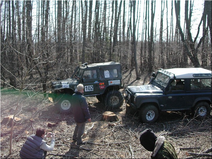 260403_lrsynd_daff_47.jpg