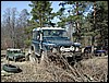 260403_lrsynd_daff_43.jpg