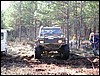 260403_lrsynd_daff_54.jpg