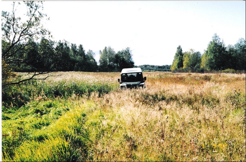 Image5.jpg