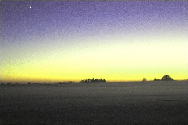 img00010.jpg