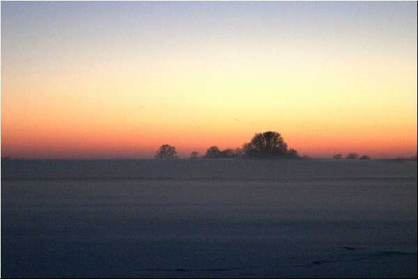 img00011.jpg
