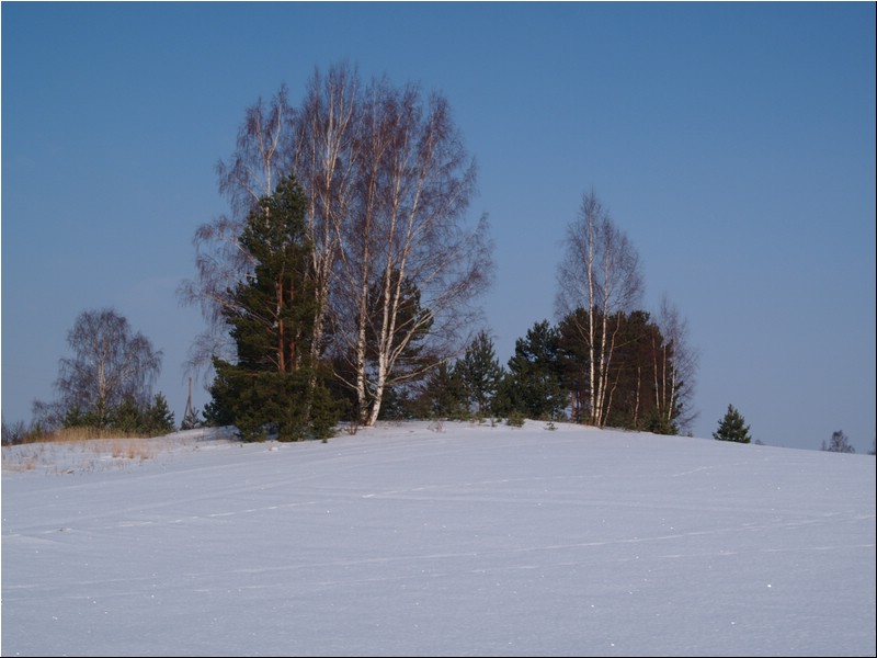 P2201237.JPG