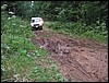 IMG_5805.JPG