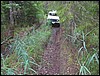 IMG_5854.JPG