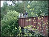 DSCF0077.JPG