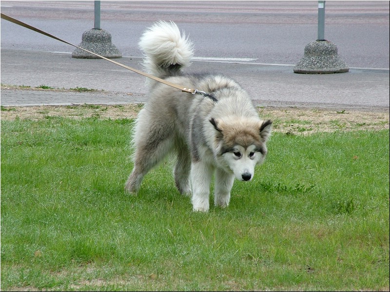 DSCF8116.JPG
