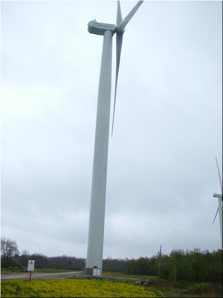 DSCF8361.JPG