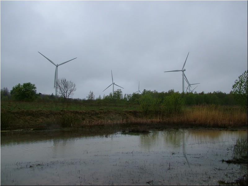 DSCF8585.JPG