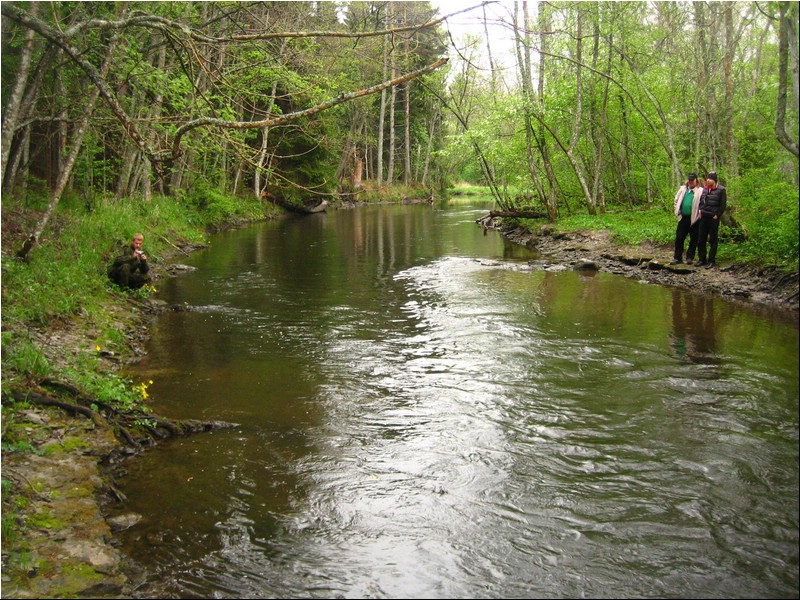 20060520_1756.JPG