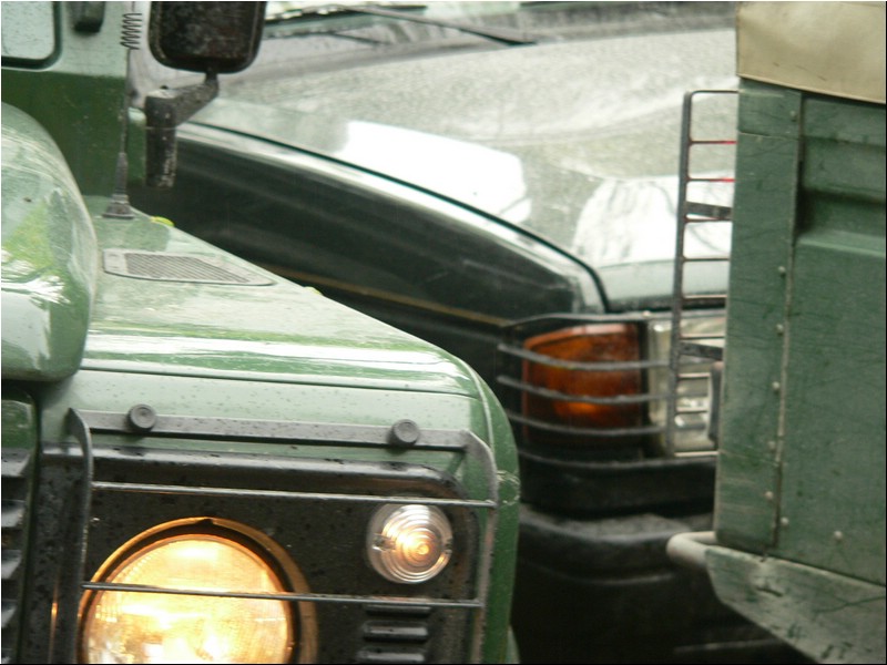 n 079.jpg