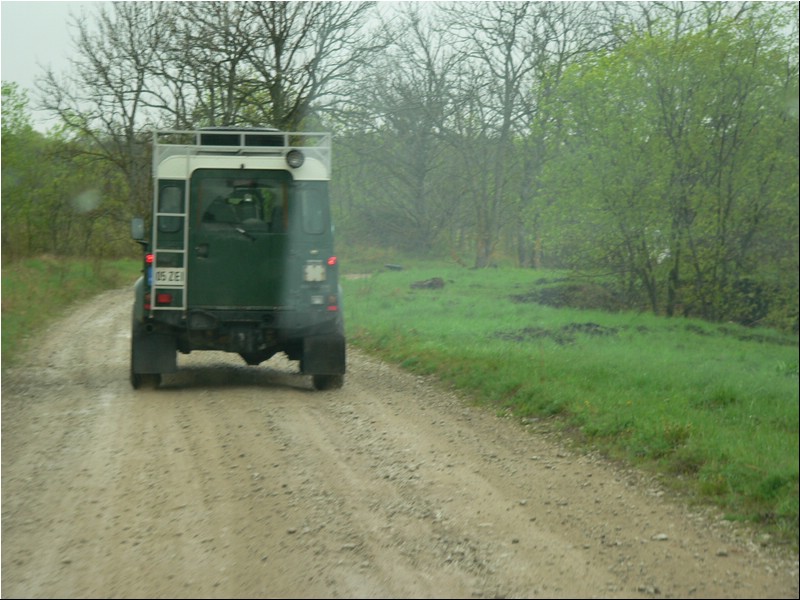 n 118.jpg