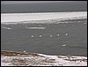 LR_Talveretk_2006 - 085.jpg