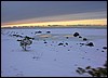 LR_Talveretk_2006 - 126.jpg