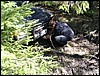 IMG_5696.JPG