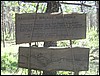 IMG_5926.JPG