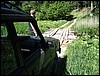 IMG_5941.JPG