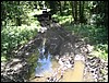 IMG_5949.JPG