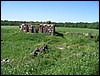 IMG_5951.JPG
