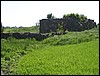IMG_5958.JPG