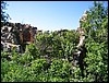 IMG_5960.JPG