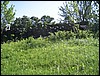 IMG_5977.JPG