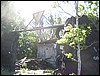 IMG_5978.JPG