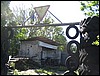 IMG_5979.JPG