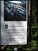 Img_5931.jpg
