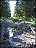 Img_5934.jpg