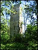 Img_5962.jpg