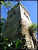 Img_5963.jpg