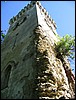 Img_5965.jpg