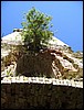 Img_5968.jpg