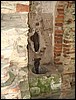 Img_5971.jpg