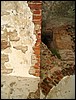 Img_5972.jpg