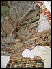 Img_5975.jpg