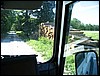 IMG_6032.JPG