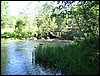 IMG_6036.JPG