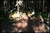 IMG_0247.JPG