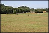 IMG_0251.JPG