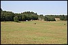 IMG_0252.JPG