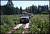 IMG_0299.JPG
