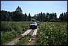 IMG_0313.JPG