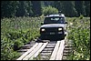 IMG_0316.JPG