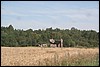 IMG_0325.JPG