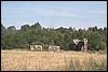 IMG_0326.JPG