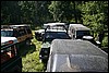 IMG_0337.JPG